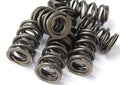 KAD Race Double Valve Spring Set